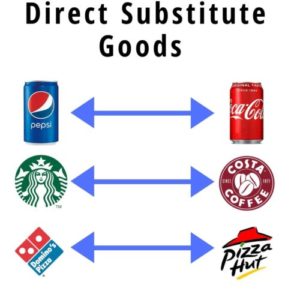 direct substitute goods examples substitutes readily two importantly characterisitcs consumers switch common between many most but