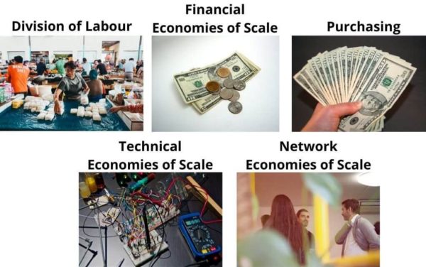 purchasing economies of scale definition tutor2u