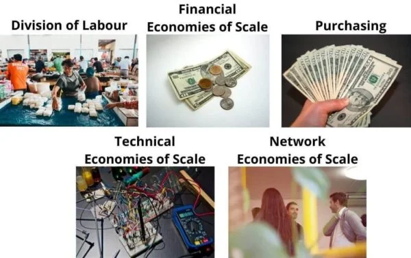 Internal Economies of Scale Examples