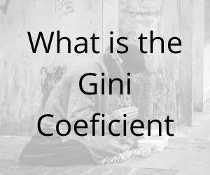Gini Coefficient Definition