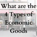 What are the 4 types of economic goods