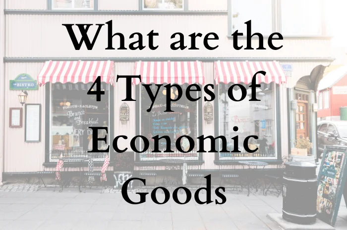 What are the 4 types of economic goods