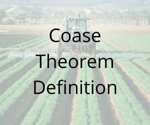 Coase Theorem Definition
