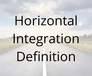 Horizontal Integration Definition