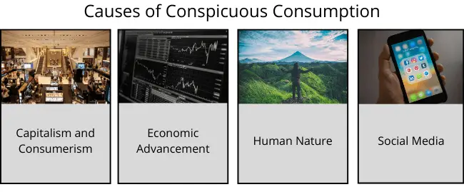 causes of conspicuous consumption