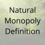 Natural Monopoly Definition