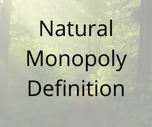 Natural Monopoly Definition