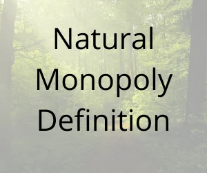 Natural Monopoly Definition