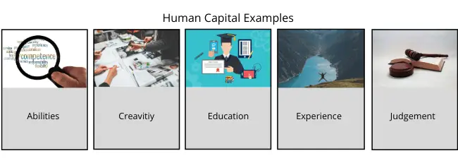 Human Capital Definition (Pros, Cons, and 5 Examples) Human Capital
