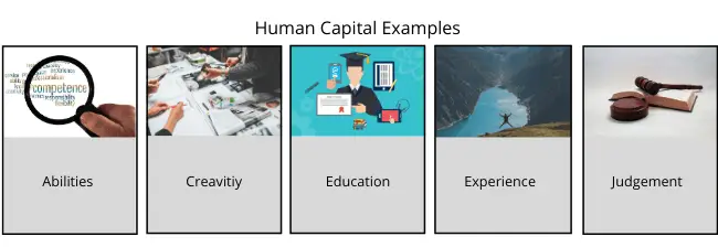 Human Capital Definition And Importance Economics Help