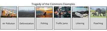 The Tragedy Of The Commons Definition Solutions And Examples Boycewire