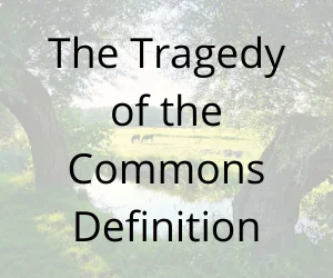 Tragedy of the Commons Definition