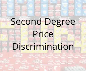 Second Degree Price Discrimination Definition