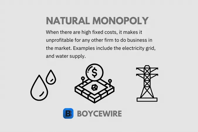 natural monopoly definition