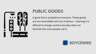 What are Public Goods? 