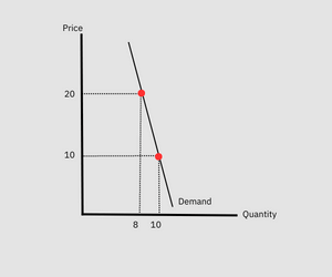 Elastic vs. Inelastic Demand: Differences and Examples