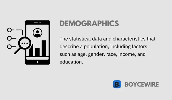 demographics definition