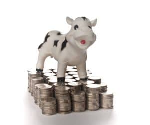 cash cow