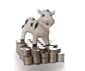 cash cow